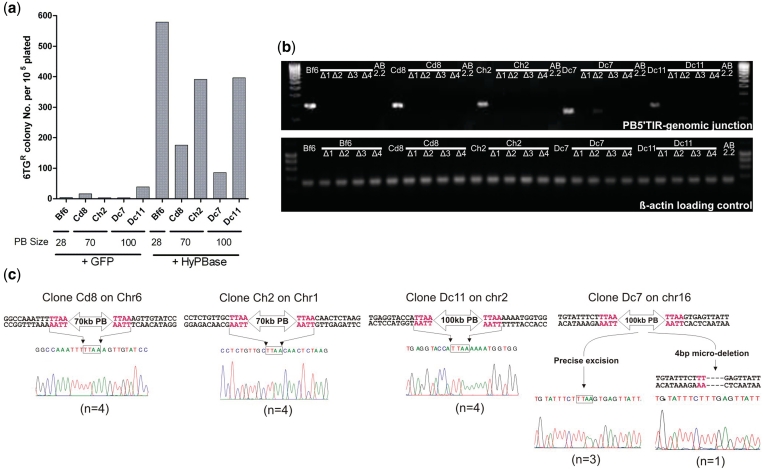 Figure 4.