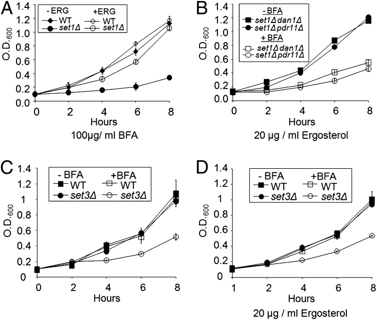 Fig. 8.