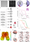 Figure 2—figure supplement 4.