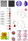 Figure 2—figure supplement 2.
