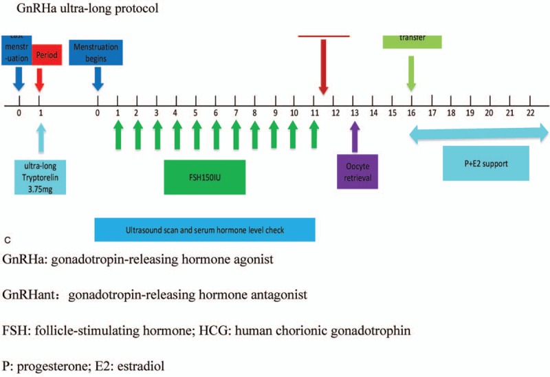 Figure 1 (Continued)