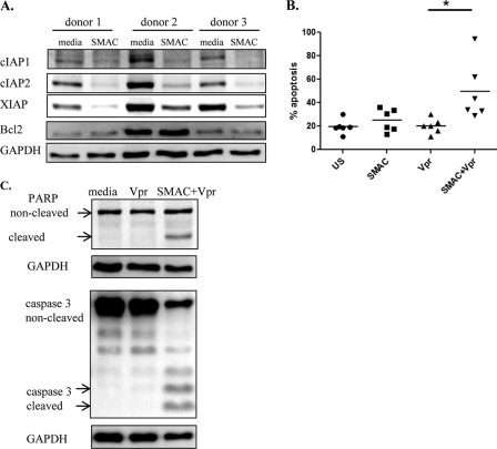 FIGURE 11.