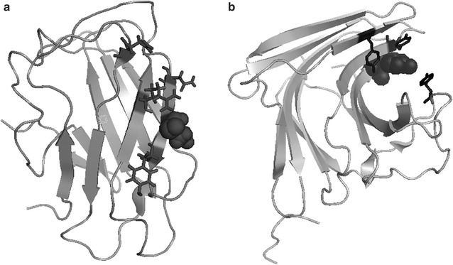 Fig. 2