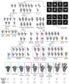 Extended Data Fig. 3