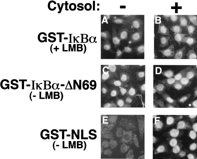 FIG. 7