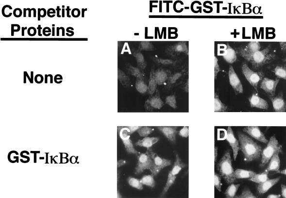 FIG. 9