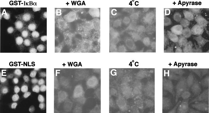 FIG. 5