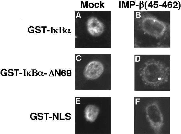 FIG. 6