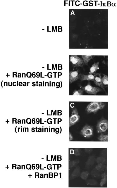 FIG. 11