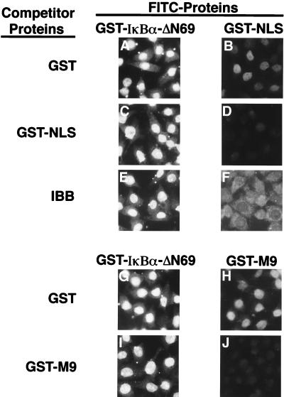 FIG. 8