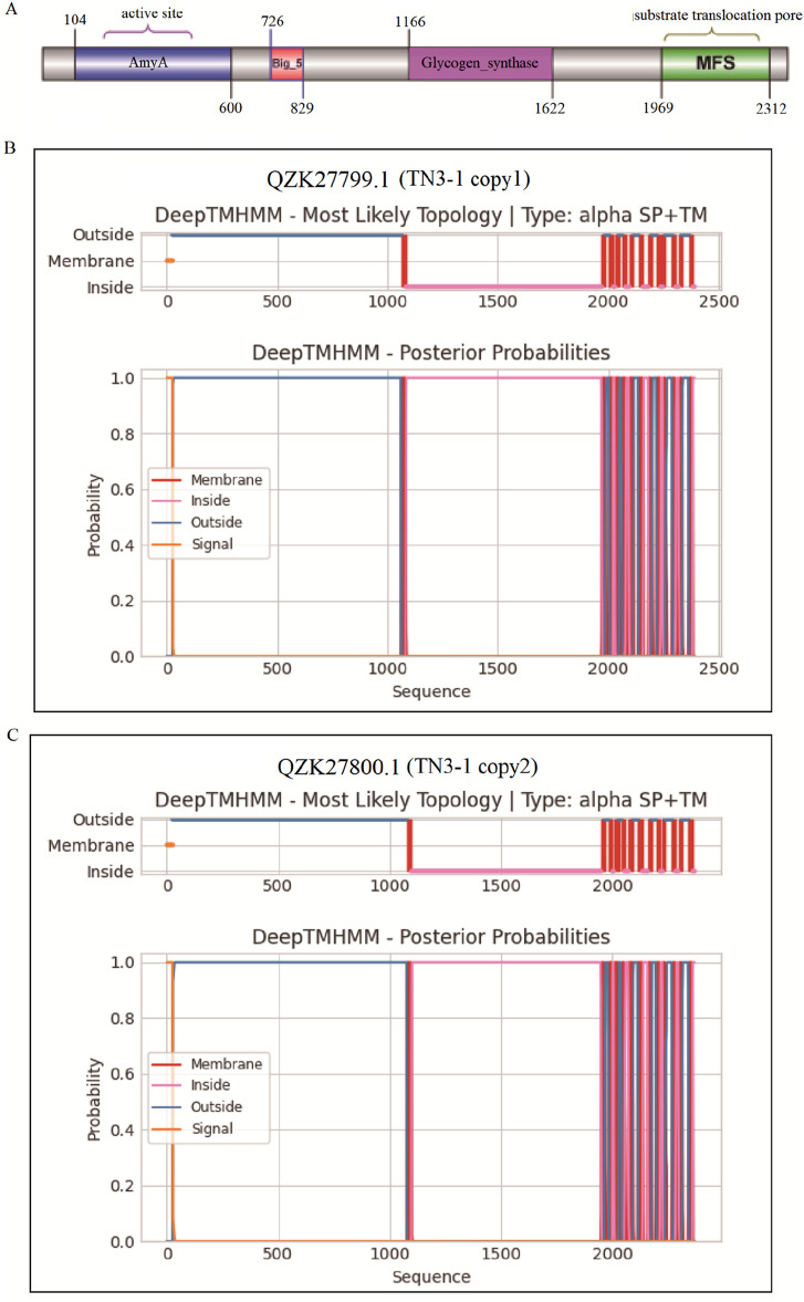 FIGURE 3