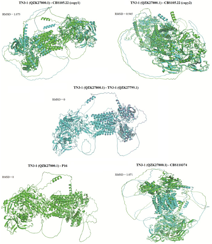 FIGURE 6