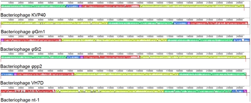 FIGURE 3