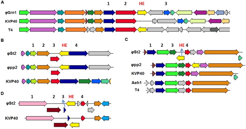 FIGURE 4