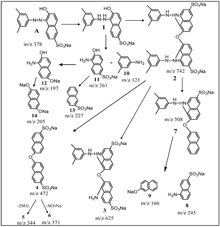 Scheme 2