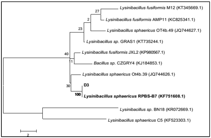 Figure 4