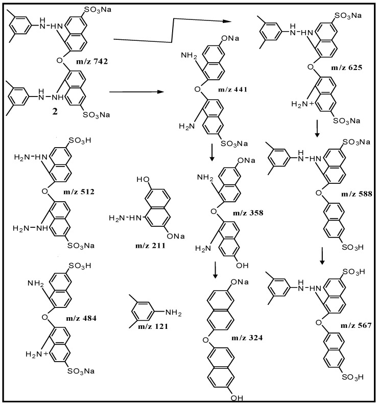 Scheme 3