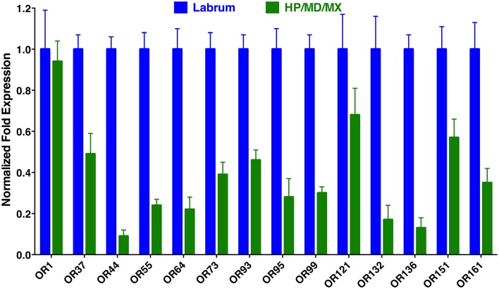 Figure 5