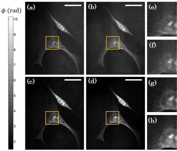 Fig. 3