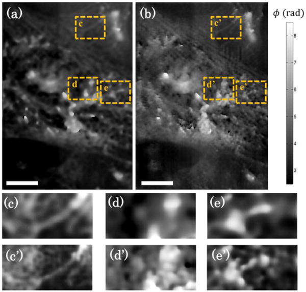 Fig. 4