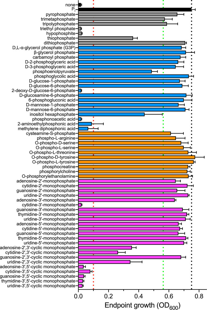 FIG 1