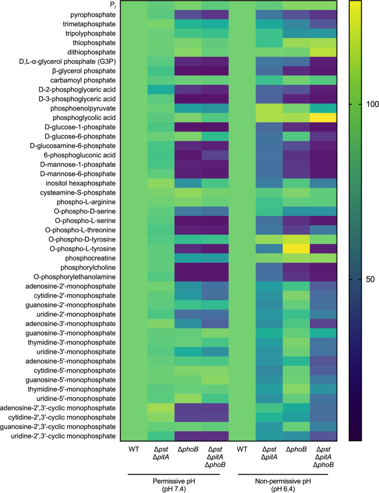 FIG 6