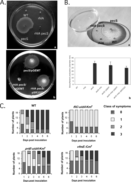 FIG. 3.