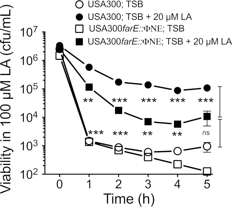 FIG 4