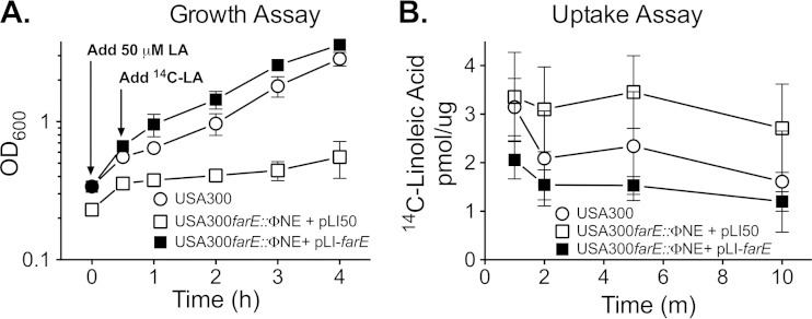 FIG 10