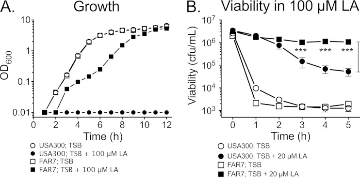 FIG 6