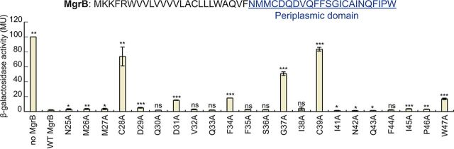 FIG 5