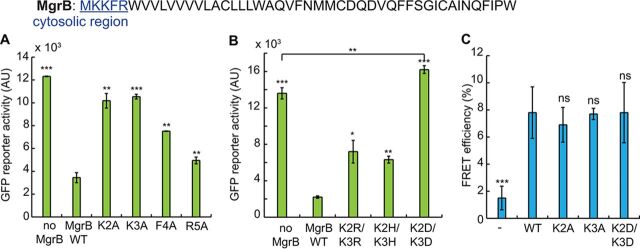 FIG 3