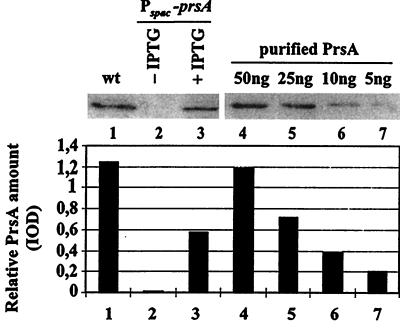 FIG. 5