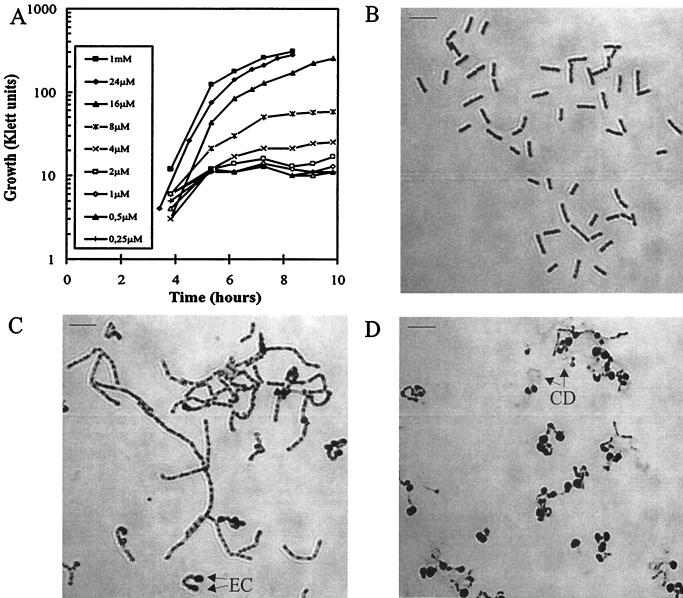 FIG. 7