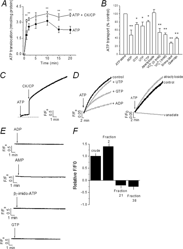 FIGURE 4.