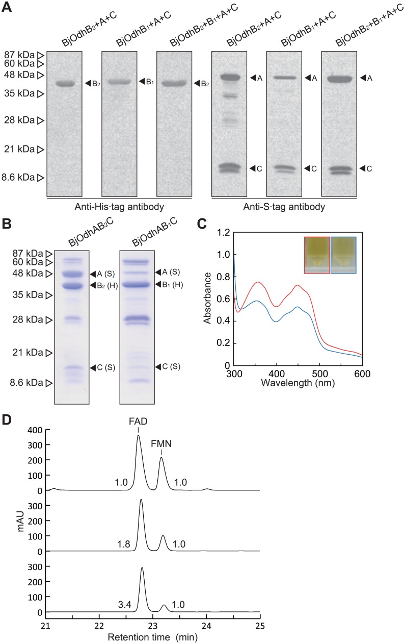 Fig 4