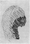 535