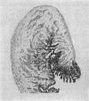 535