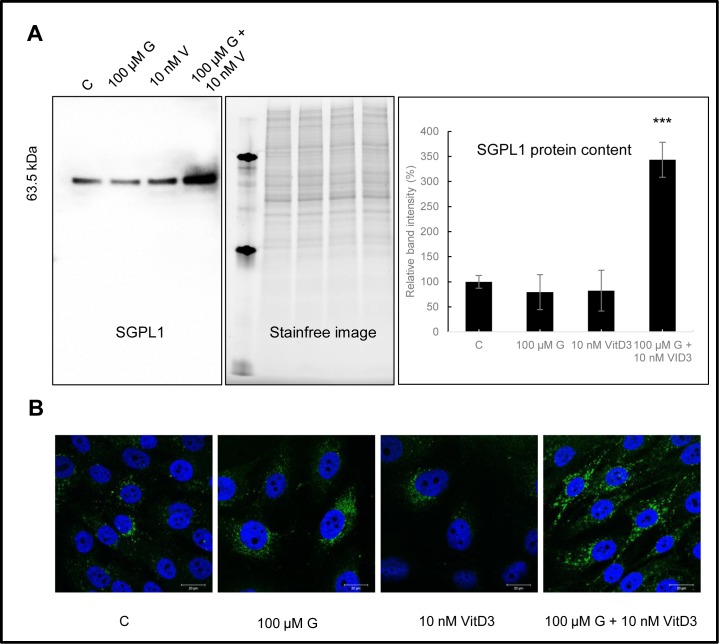 Fig 6