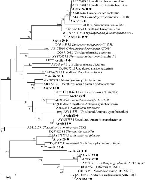 FIG. 5.