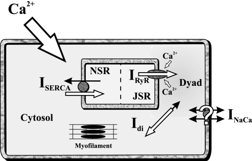 Fig. 8.