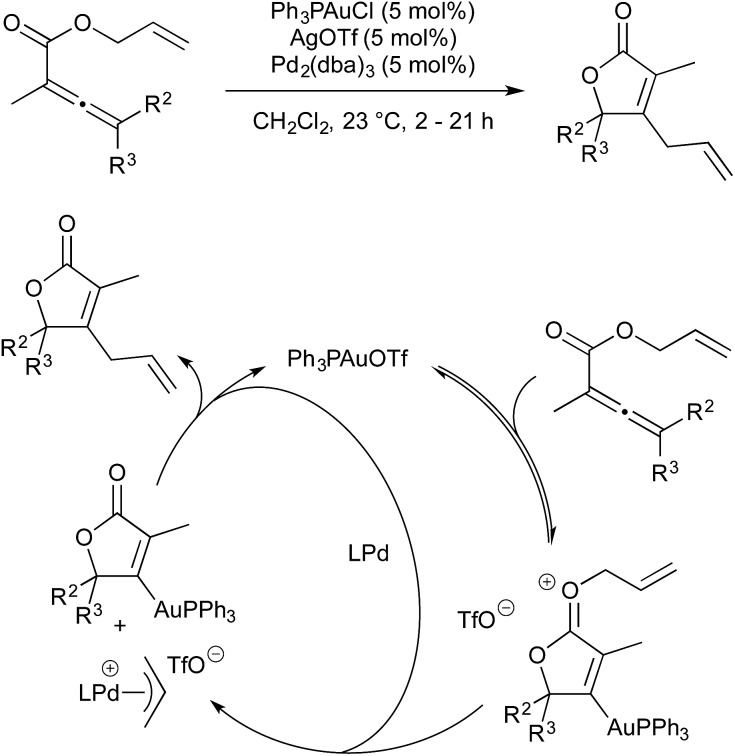 Scheme 16