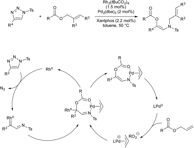 Scheme 20