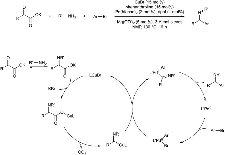 Scheme 15