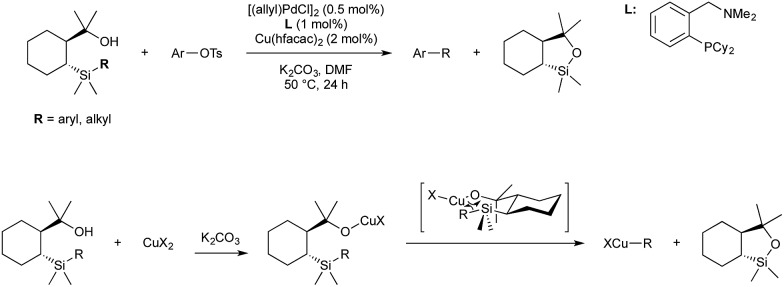 Scheme 14