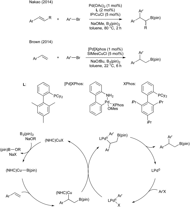 Scheme 5