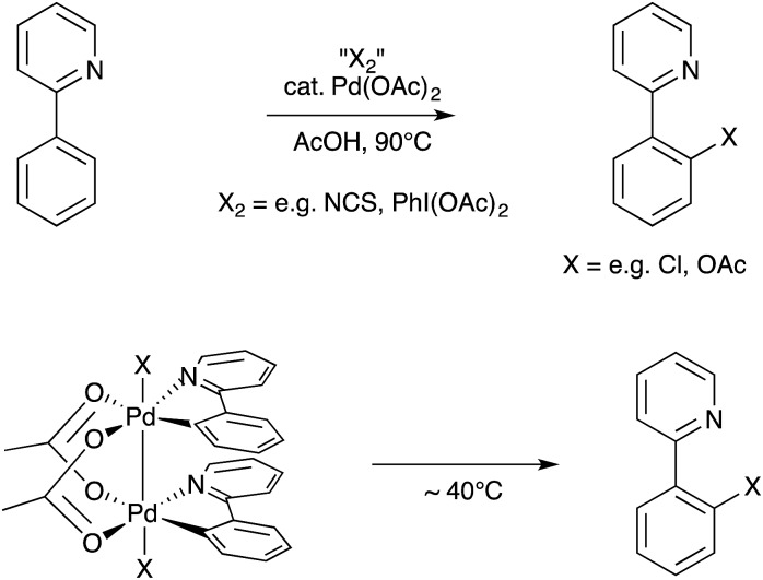 Scheme 27