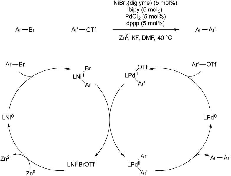 Scheme 23