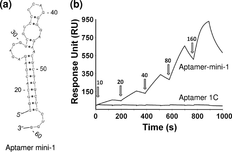 Fig 10