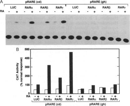 graphic file with name pnas01090-0355-b.jpg